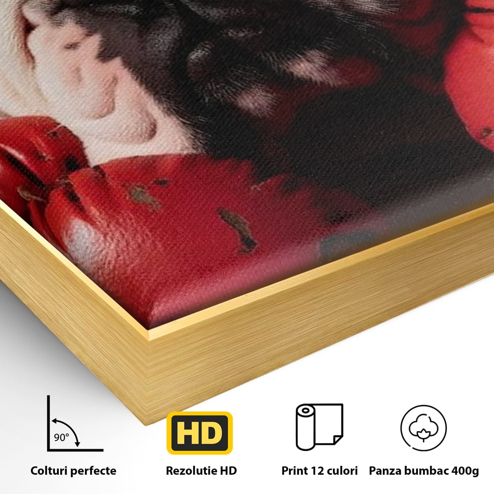 Detaliu al suprafetei: tablou canvas cu bulldog in manusi de box, in rama de aluminiu auriu